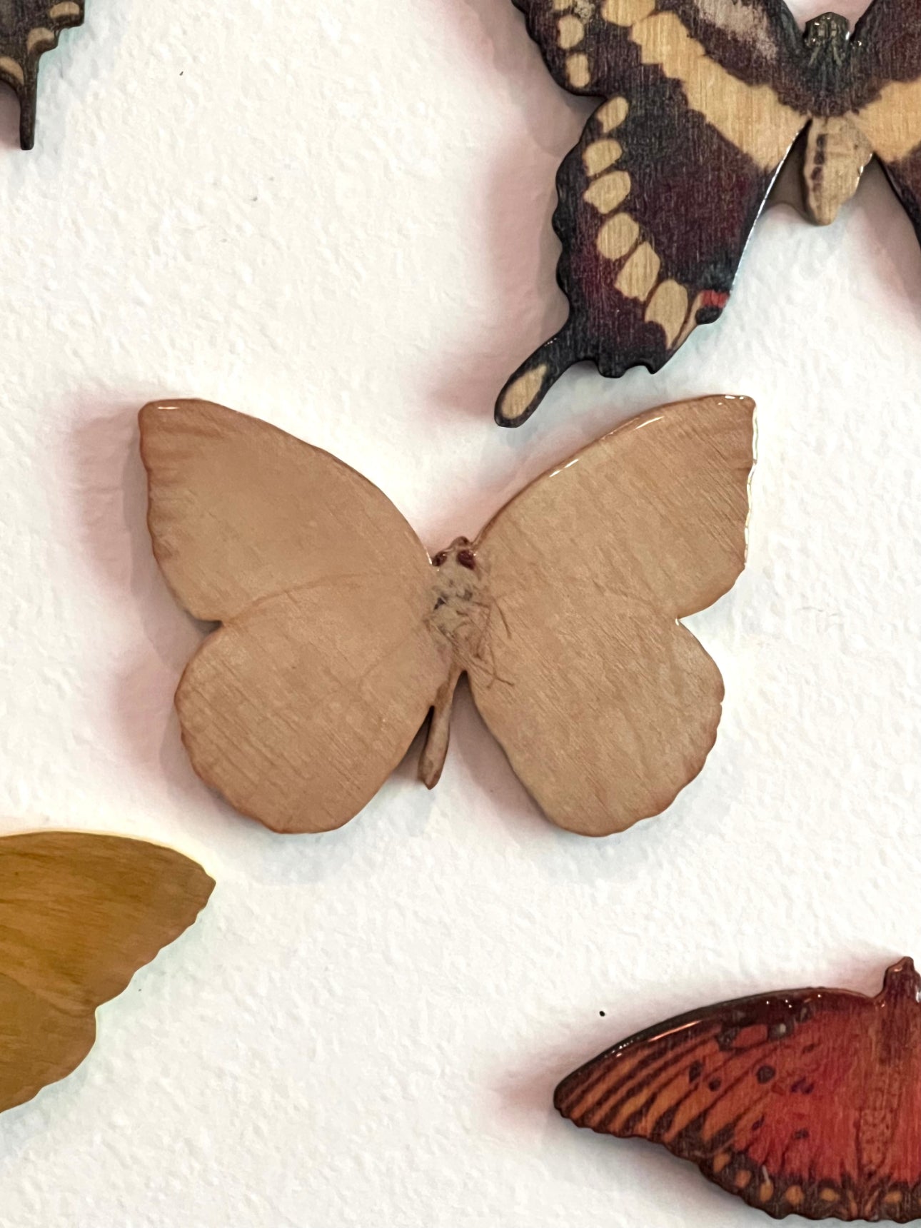 Lepidopteran Liberation