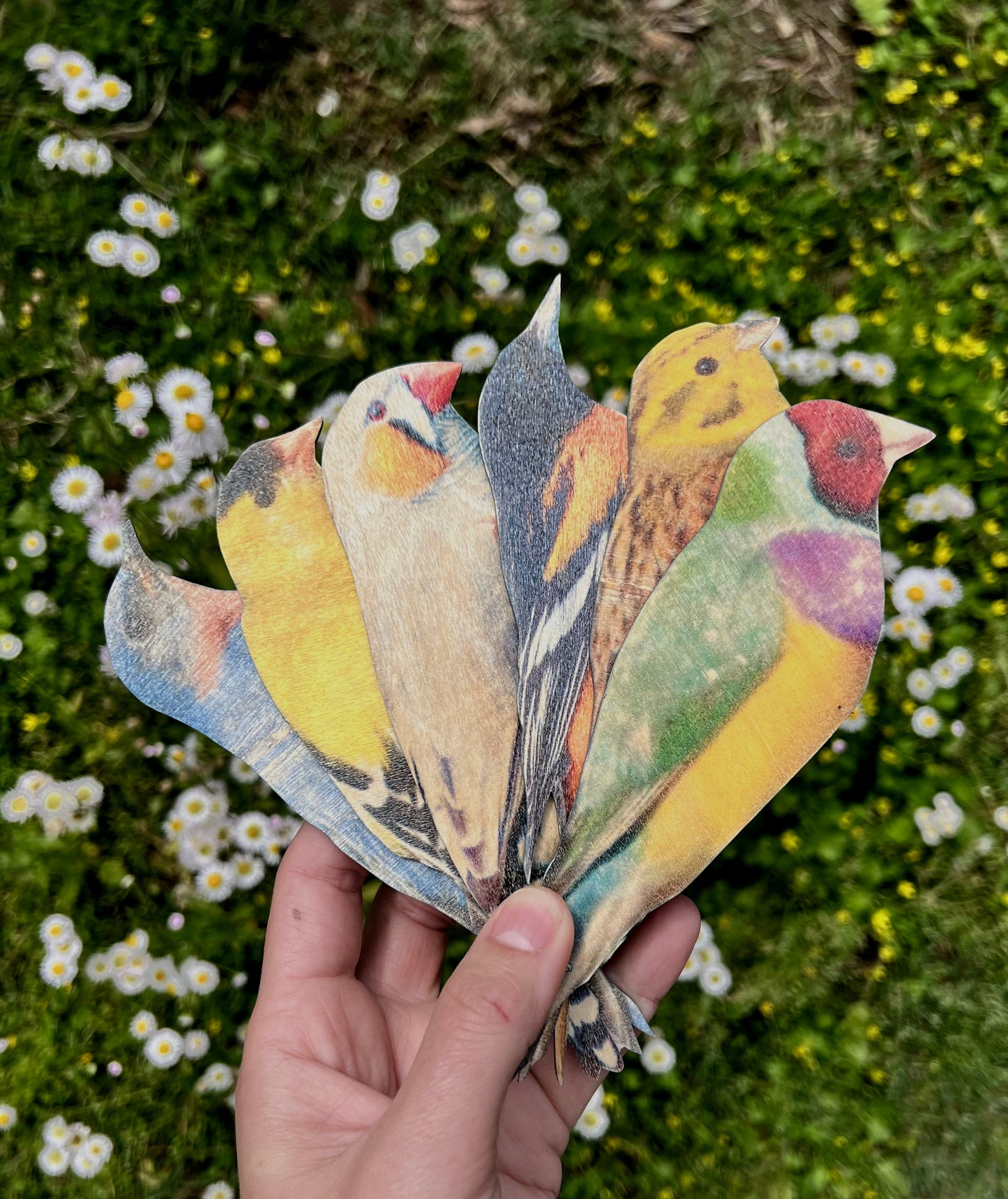 Let Me Tell You About the Birds and These Fans...