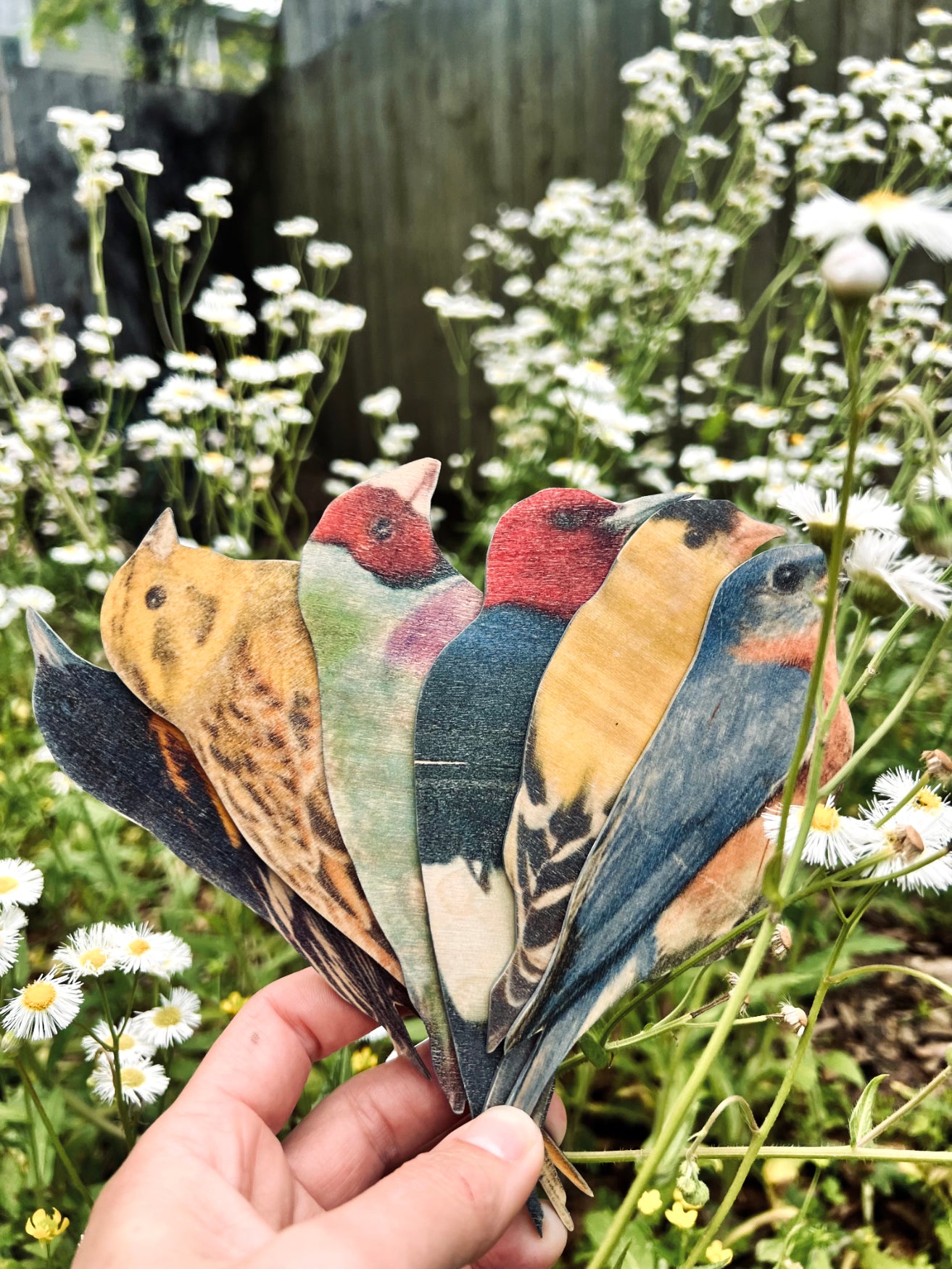 Let Me Tell You About the Birds and These Fans...