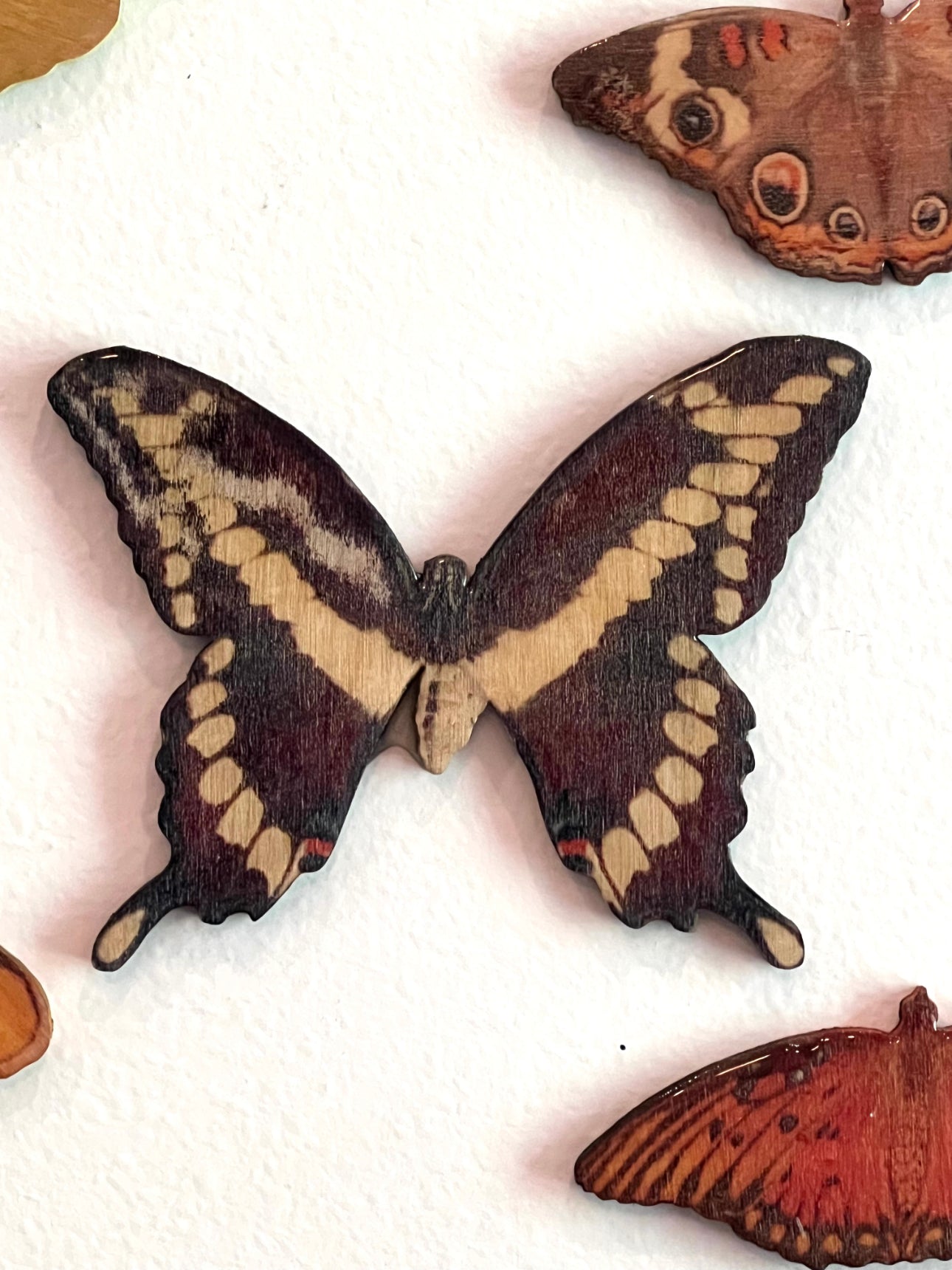 Lepidopteran Liberation