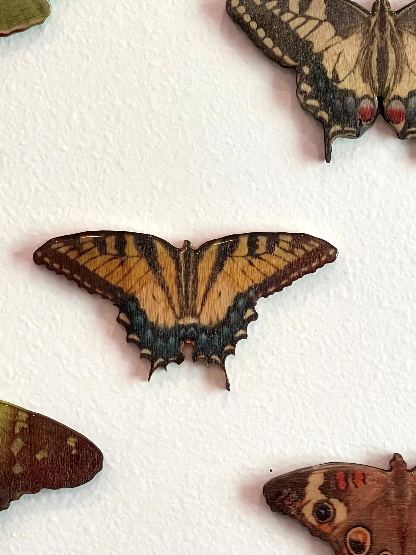 Lepidopteran Liberation