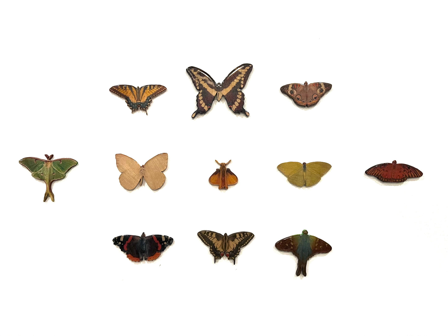 Lepidopteran Liberation