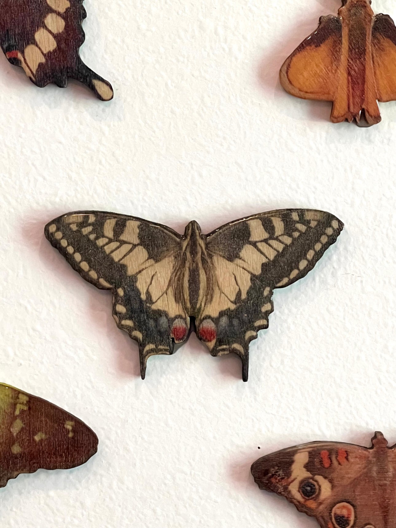 Lepidopteran Liberation